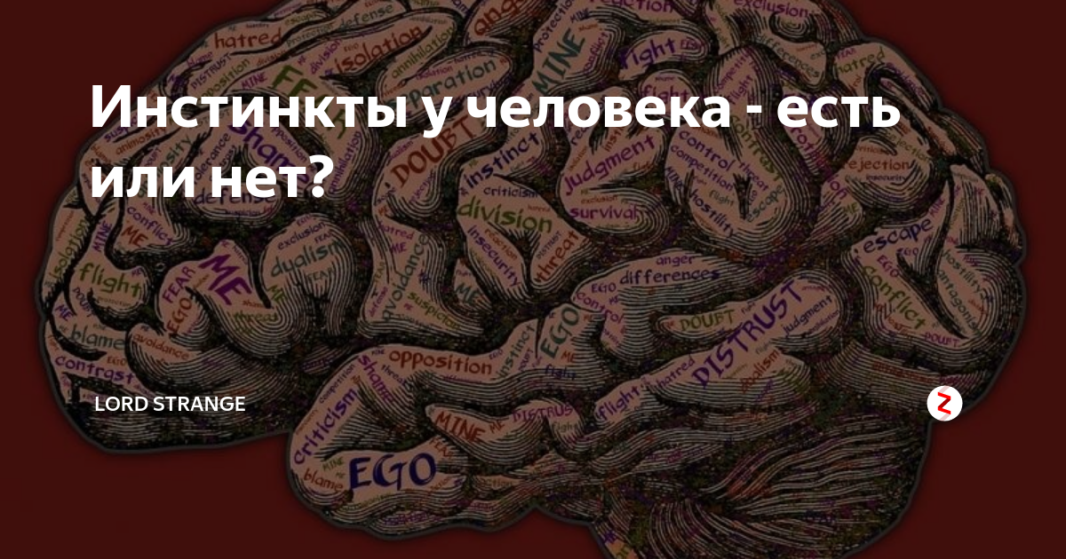 Сколько инстинктов у человека. Почему у человека нет инстинктов. Почему у человека нет инстинктов. Феномен первого инстинкта. Примеры инстинктов у человека.