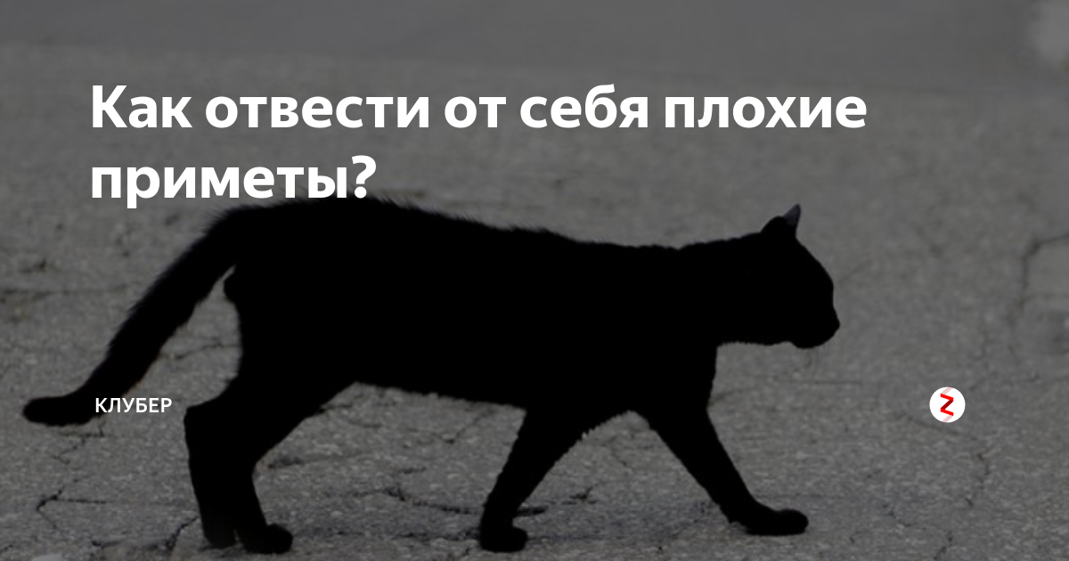 Приметы плохие приметы. Смешные народные приметы. Приметы про любовь. Очень плохая примета. Смешные приметы и суеверия.