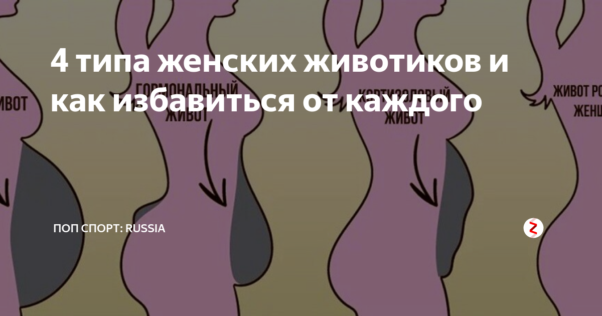 Кортизоловый живот почему появляется и как избавиться. Кортизоловый живот. 4 типа женских животиков. гормональный и кортизоловый живот.