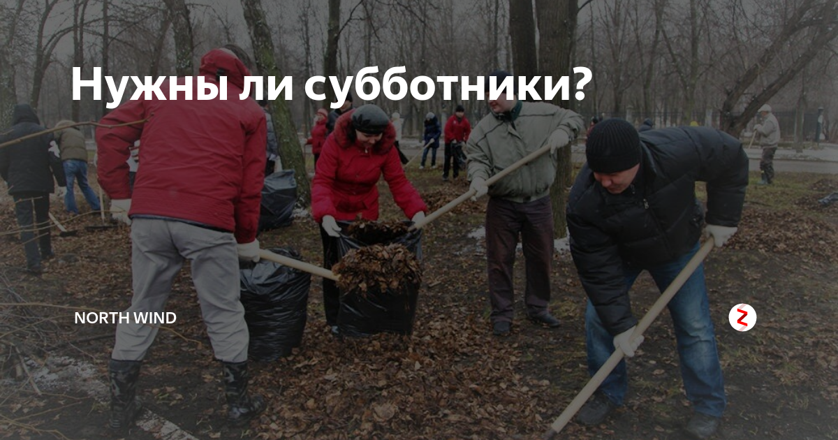 Люди на субботнике. Нужны ли субботники. Нужны ли субботники. Субботник. Санитарная очистка территории.
