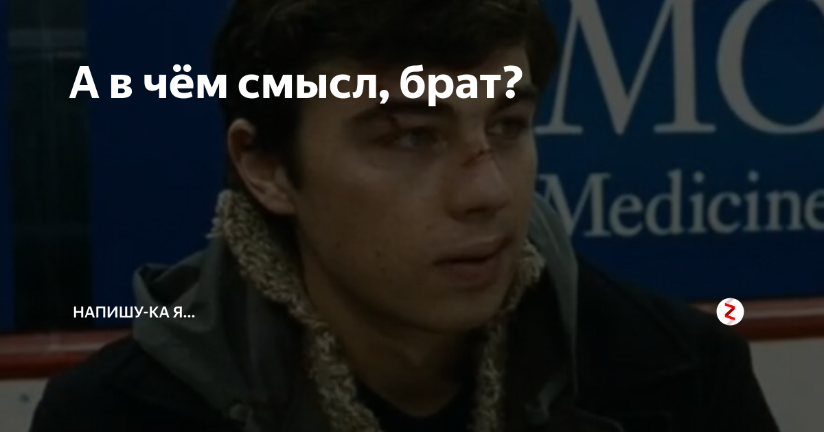 9 жизнь брат. 9 жизнь брат