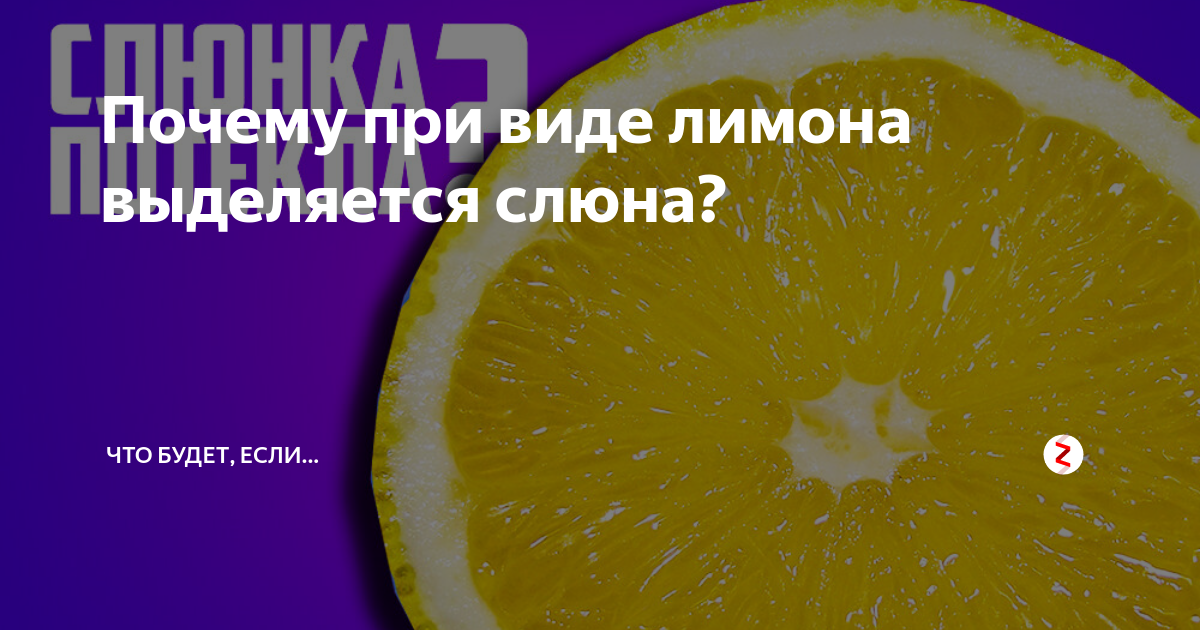 выделение слюны при виде лимона. выделение слюны при виде лимона. если лимонный сок попал в глаз. слизистая оболочка полости рта введение. почему после лимона слюноотделение.