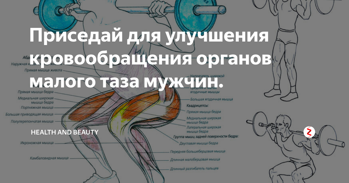 Упражнения для улучшения кровообращения в малом тазу для мужчин и потенций картинки