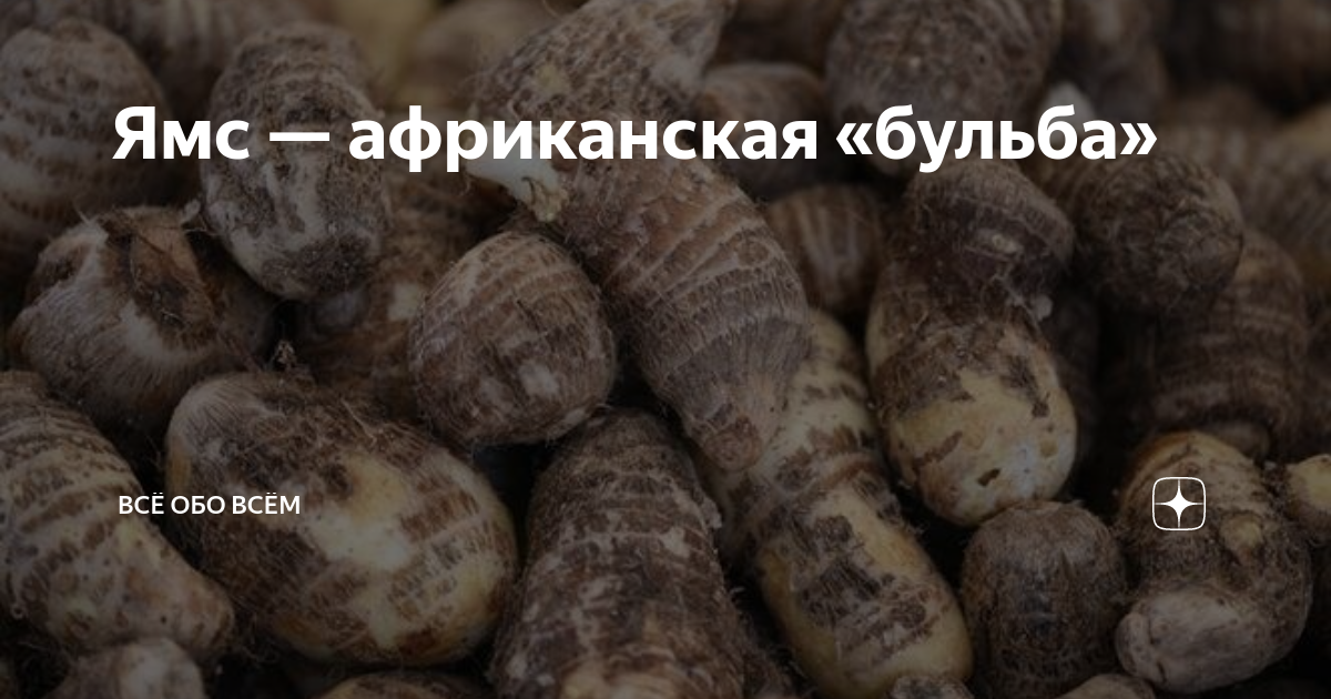 Ямс - низкокалорийный продукт