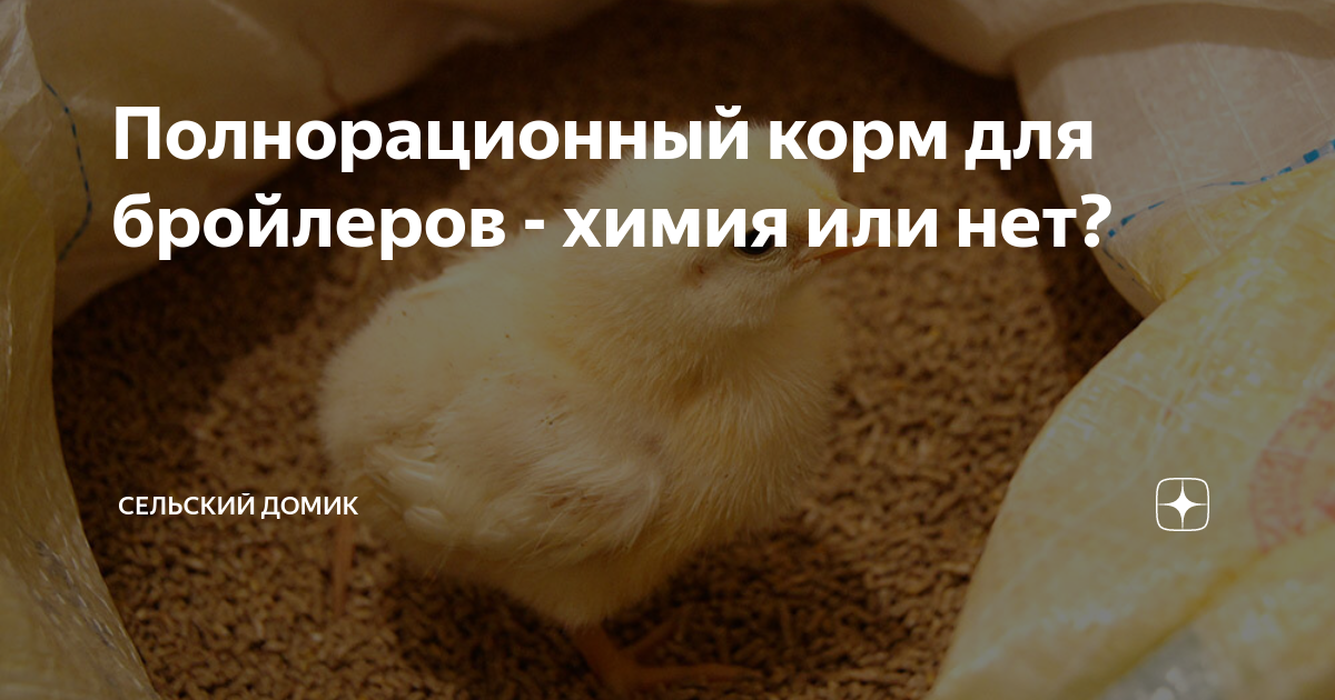 Полнорационный корм для бройлеров - химия или нет? | сельский домик | Дзен
