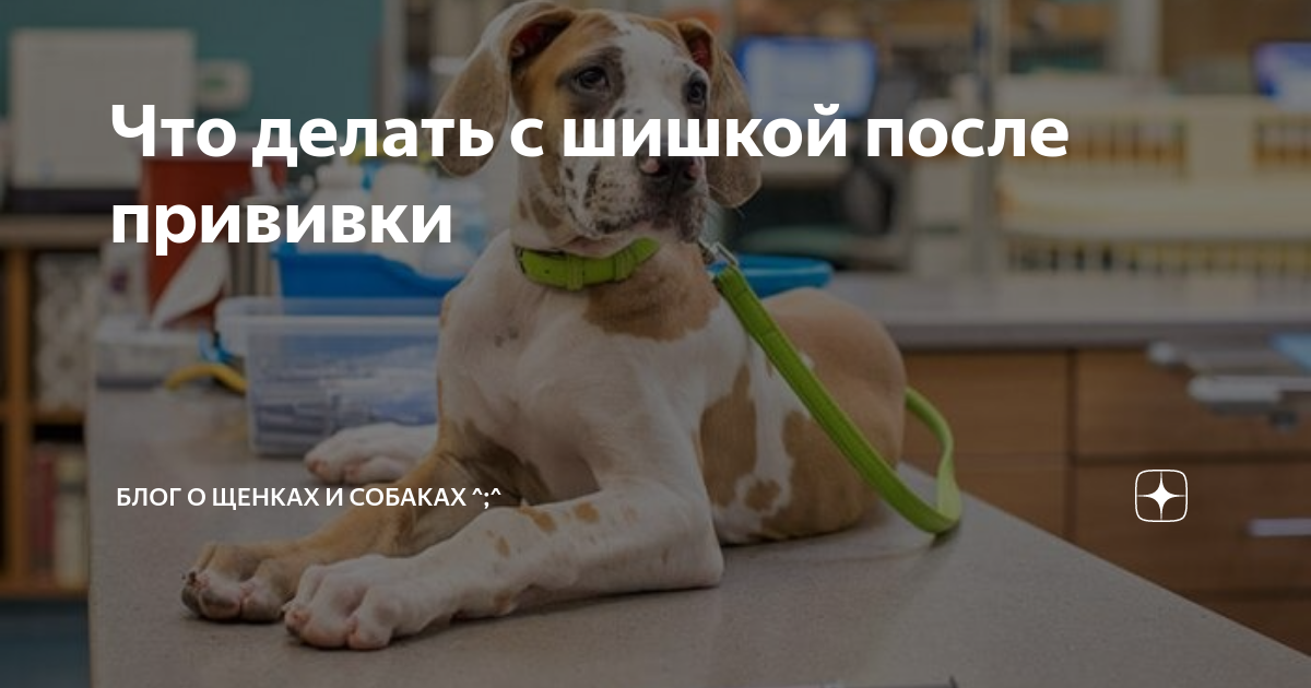 Подраздел 1.2: Добавки в питание