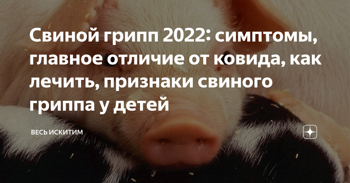 Свиной грипп у детей: стоит ли опасаться сегодня?