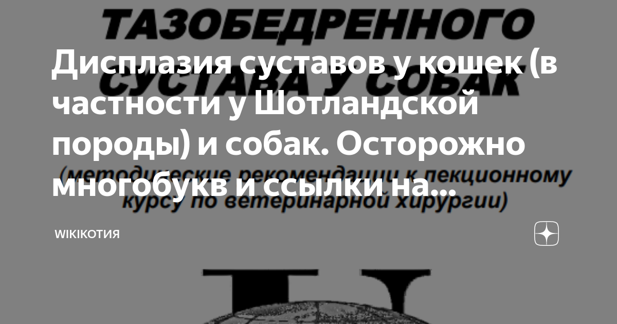 Дисплазия суставов у кошек (в частности у Шотландской породы) и собак ...
