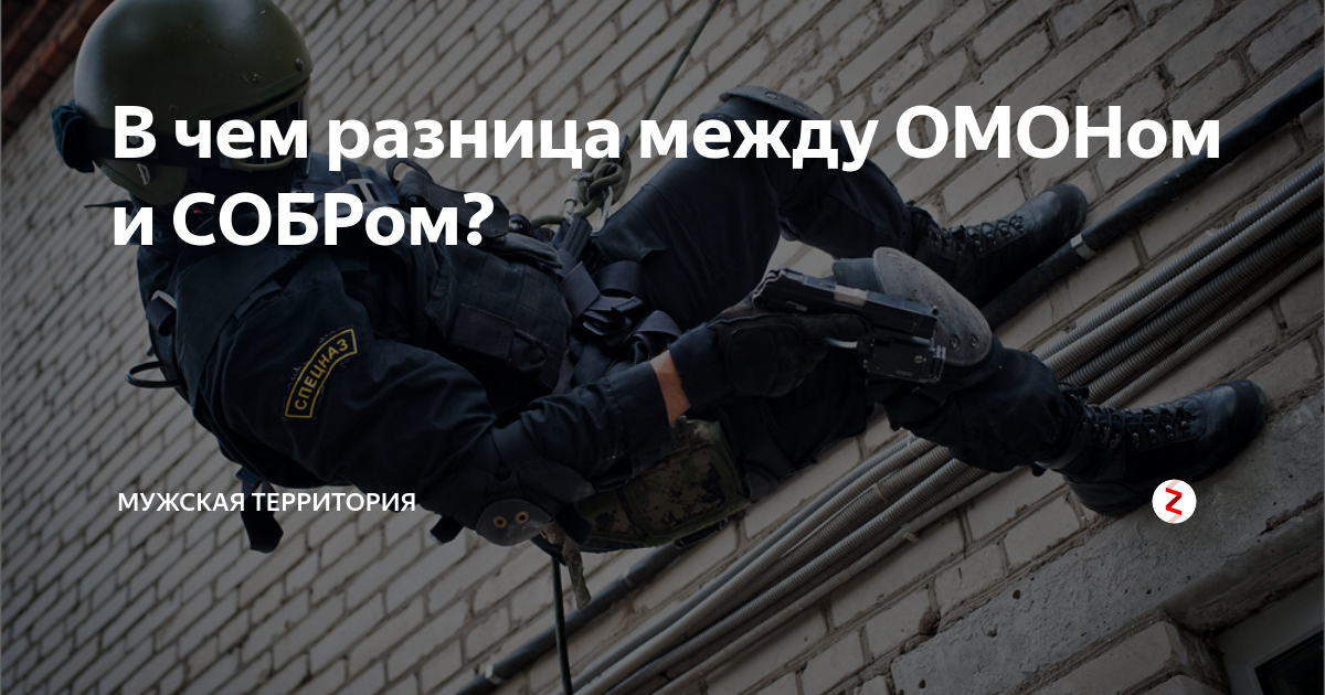 СОБР И ОМОН разница. Спецназ и ОМОН В чем разница. В чем разница между ОМОН И СОБР. Какая разница между ОМОНОМ И спецназом.