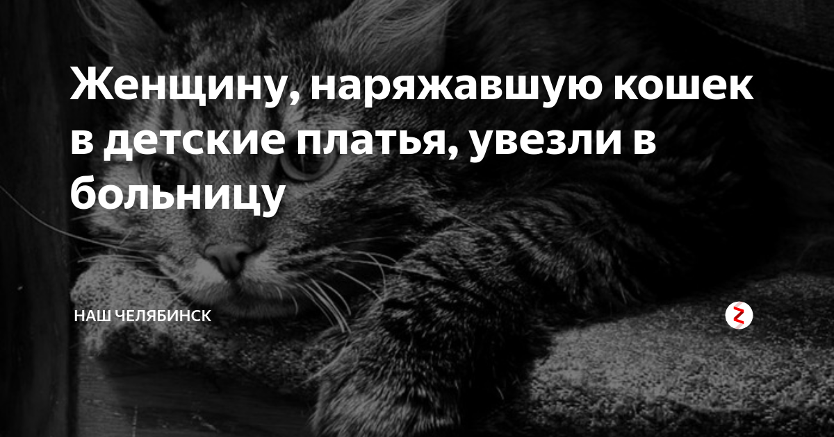 Цитаты про людей которые делают гадости. Писать гадости. Цитата про людей которые пишут гадости. Цитаты про пакости.