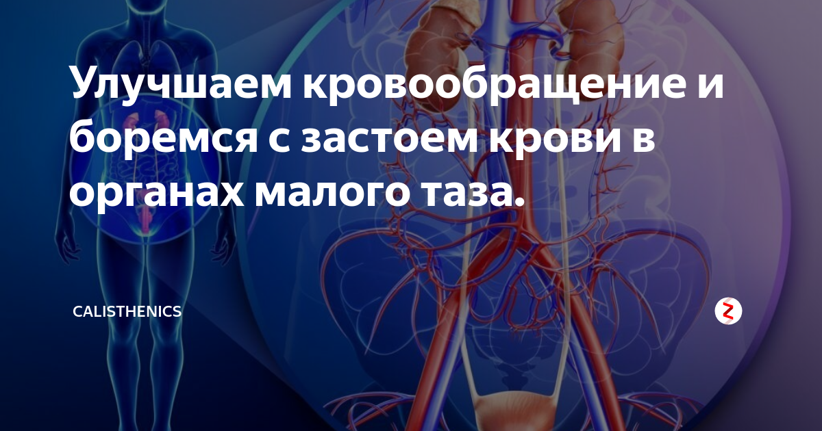 Препараты кровообращение малого таза. Застой в органах малого таза. Застой крови в Малом тазу. Улучшаем кровообращение. Препаратов для улучшения кровоснабжения органов малого таза.