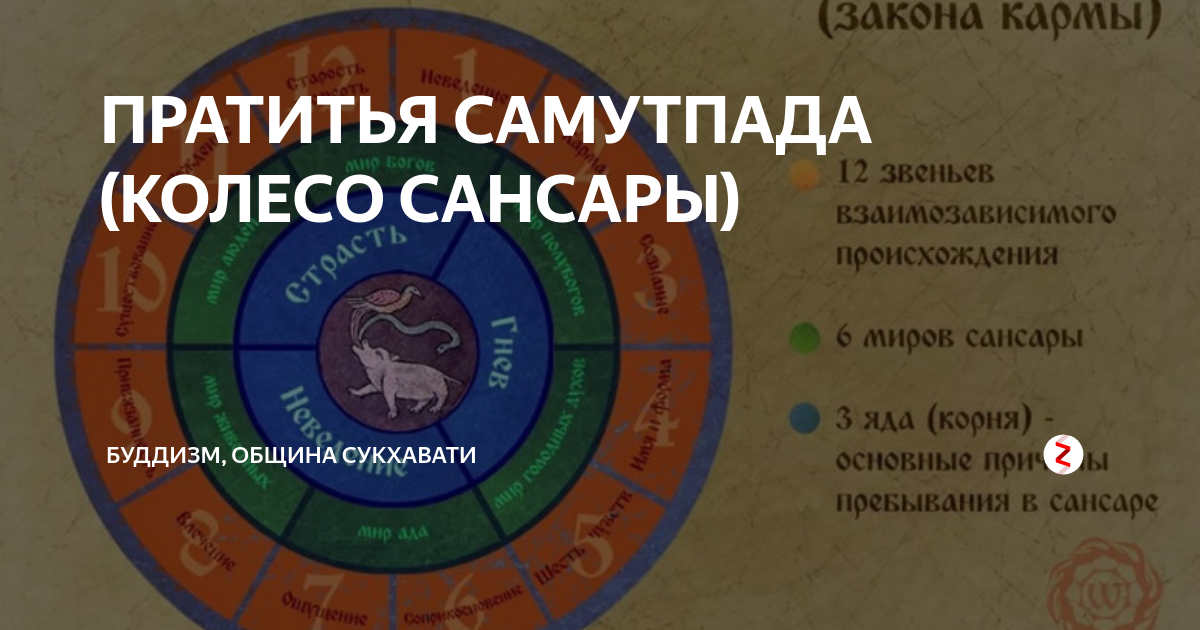 Закон сансары. Кармический закон и колесо Сансары. Сансара расшифровка. Книга буддизм Сансара. Круг Сансары что это простыми словами