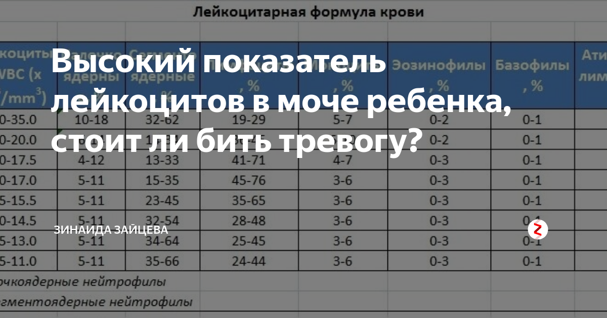 О чем говорят повышенные лейкоциты?