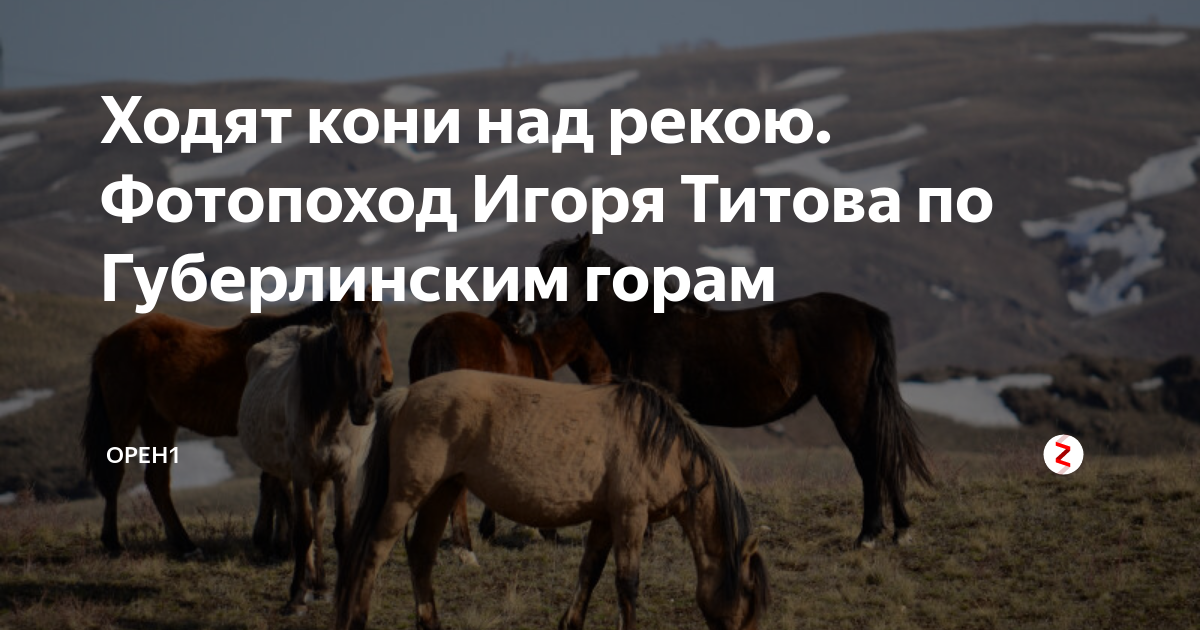 Ходят кони над рекою ноты для фортепиано. Ходят кони над рекою бумбараш. Ходят кони над рекою ищут кони водопою текст. Слова песни ходят кони над рекою. Ходя кони над рекою слова.