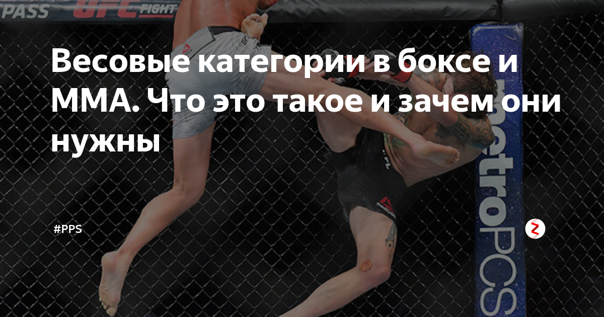 Весовые категории в боксе и ММА. Что это такое и зачем они нужны | #PPS ...