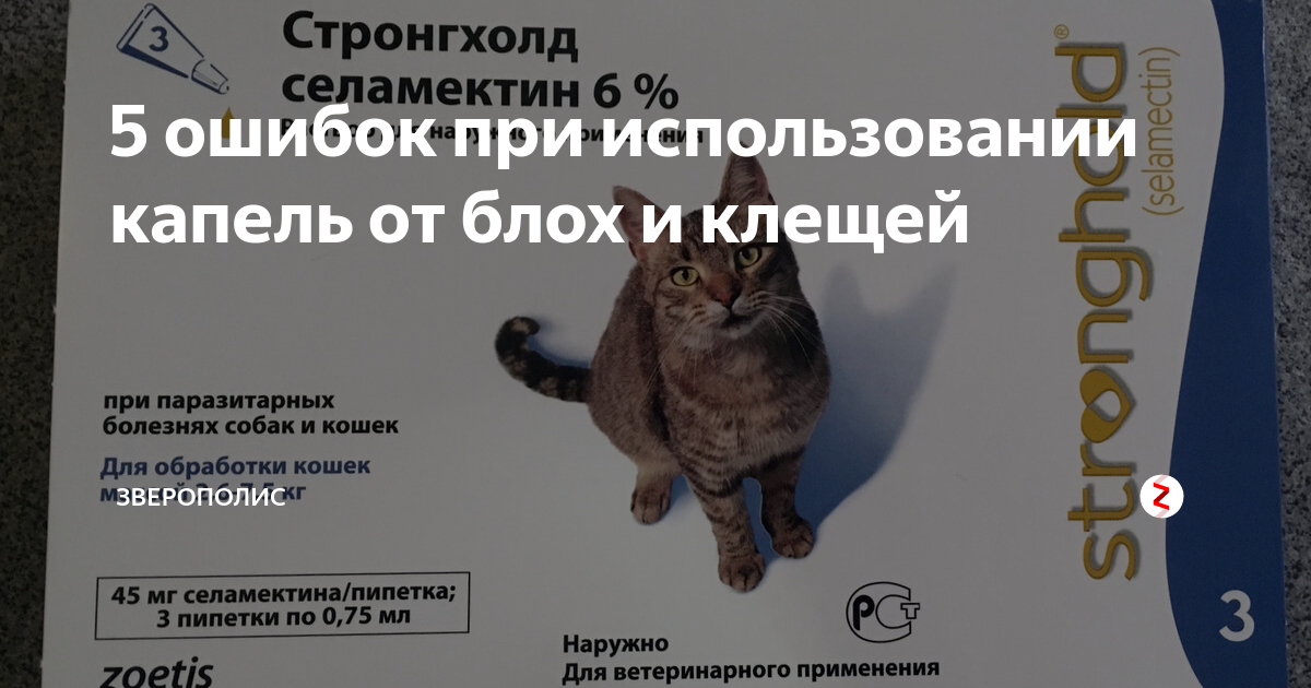 5 ошибок при использовании капель от блох и клещей | Зверополис. Ольга ...