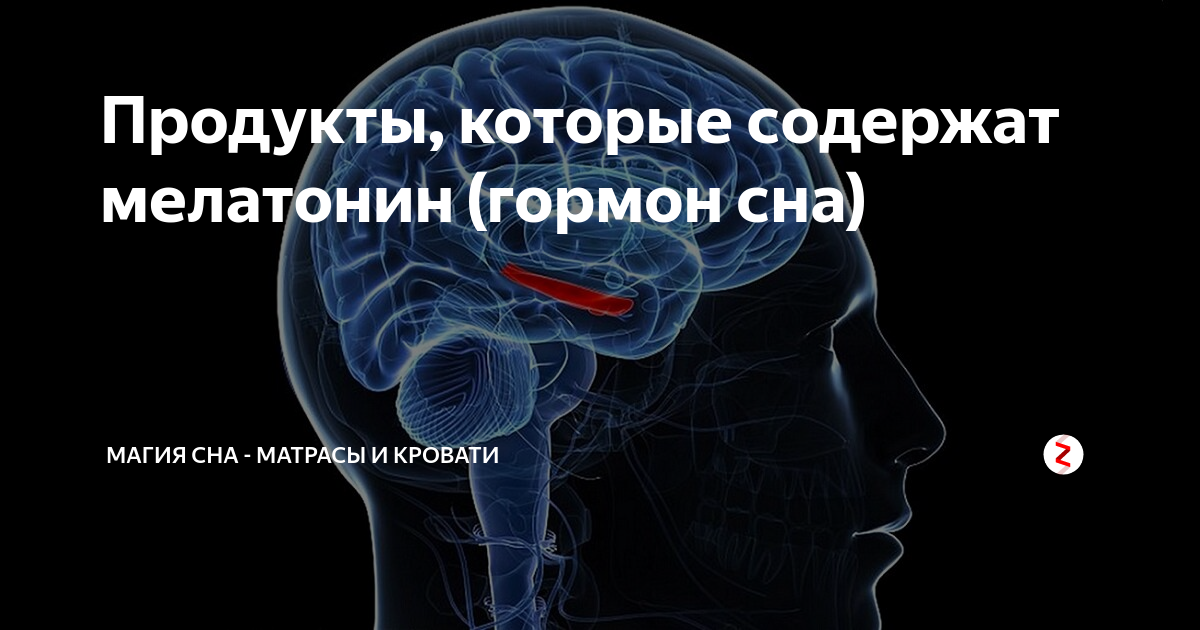 Мелатонин где содержится. Мелатонин в еде. В каких продуктах содержится мелатонин. Продукты в которых есть мелатонин. В каких продуктах содержится мелатонин для сна.