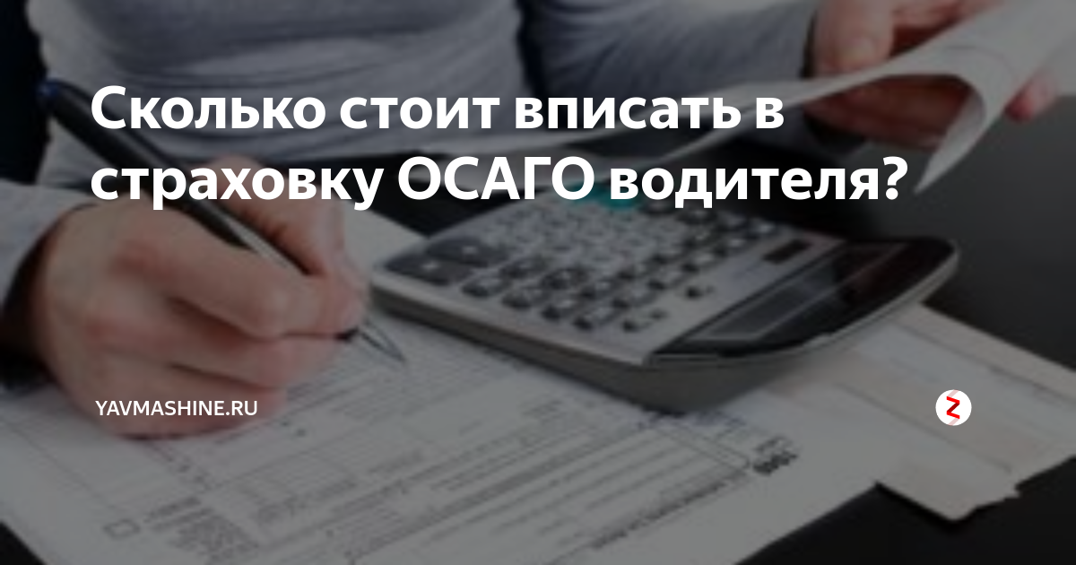 Сколько стоит вписать в страховку водителя. Страховка с вписанным человеком. Сколько стоит внести в страховку водителя без стажа. Сколько стоит вписать в страховку водителя со стажем 3 года. Страховка осаго возраст и стаж вождения.