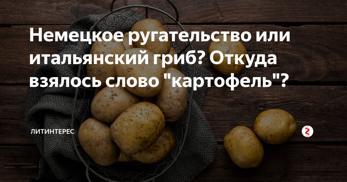 появление картофеля. картошка родина происхождения. проект слова картофель. происхождение слова картофель. происхождение слова картофель.