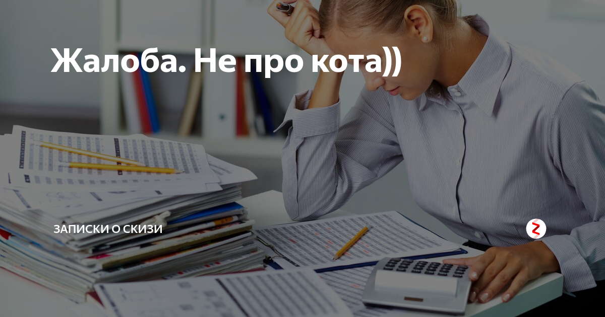 Записки о скизи читать на дзен. Записки о Скизи. Записки о Скизи дзен. Записки о Скизи дзен читать. Записки о Скизи сегодня.