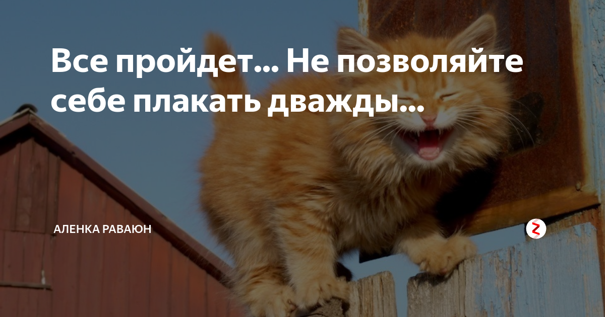 На несколько минут и снова. На несколько минут и снова