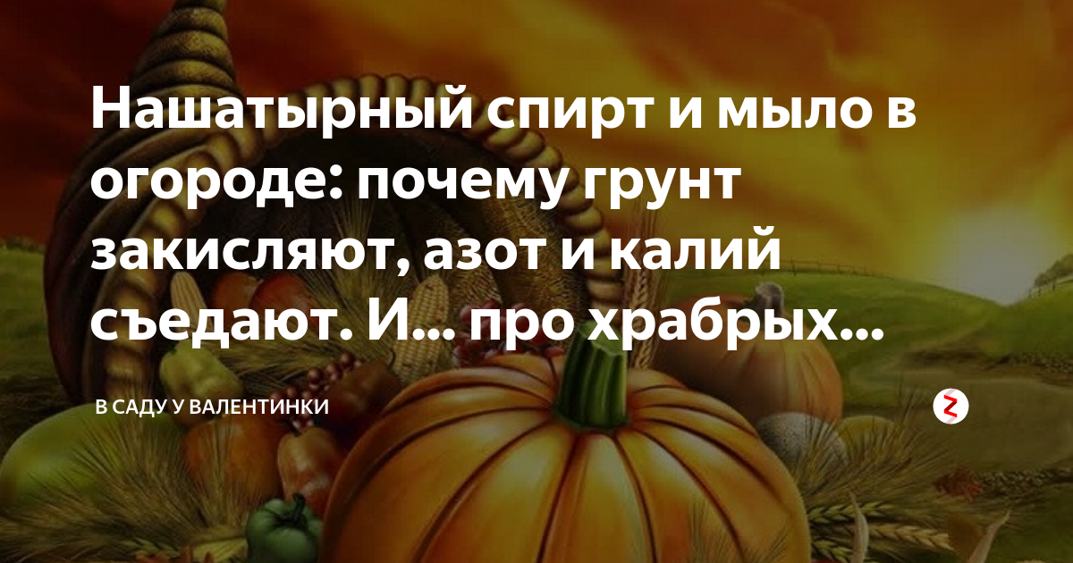 Нашатырный спирт и мыло в огороде: почему грунт закисляют, азот и калий ...