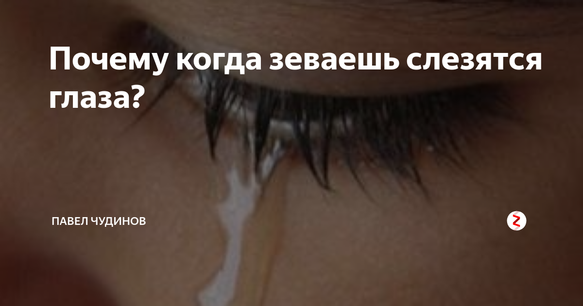 Когда плачешь зеваешь. Когда плачешь зеваешь