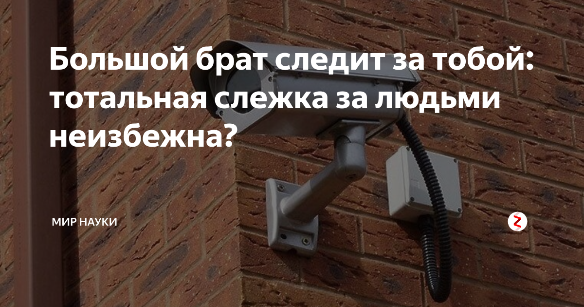 Слежка за человеком статья. Тотальная слежка. Какое наказание за слежку за человеком. Большой брат следит за тобой.