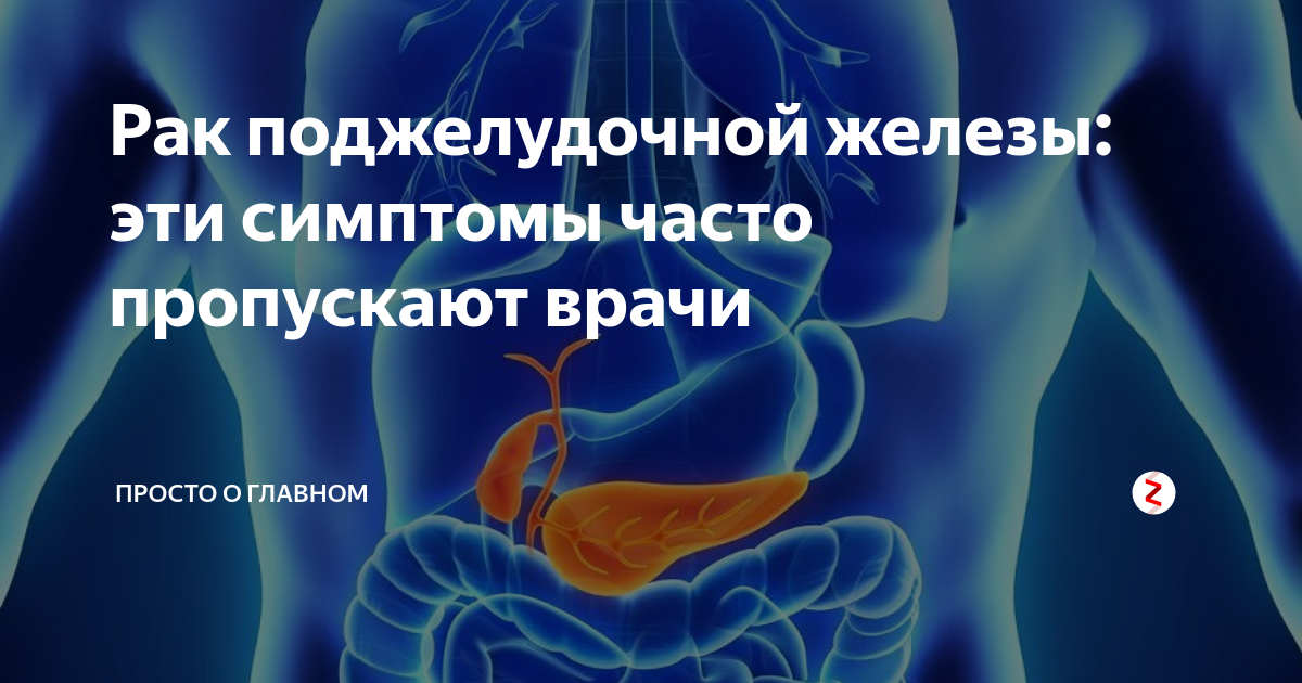 Как обследовать поджелудочную железу. Симптомы онкологии онкологии поджелудочной. Доктор голод поджелудочная железа. Как можно проверить поджелудочную железу. Лечение поджелудочной врач