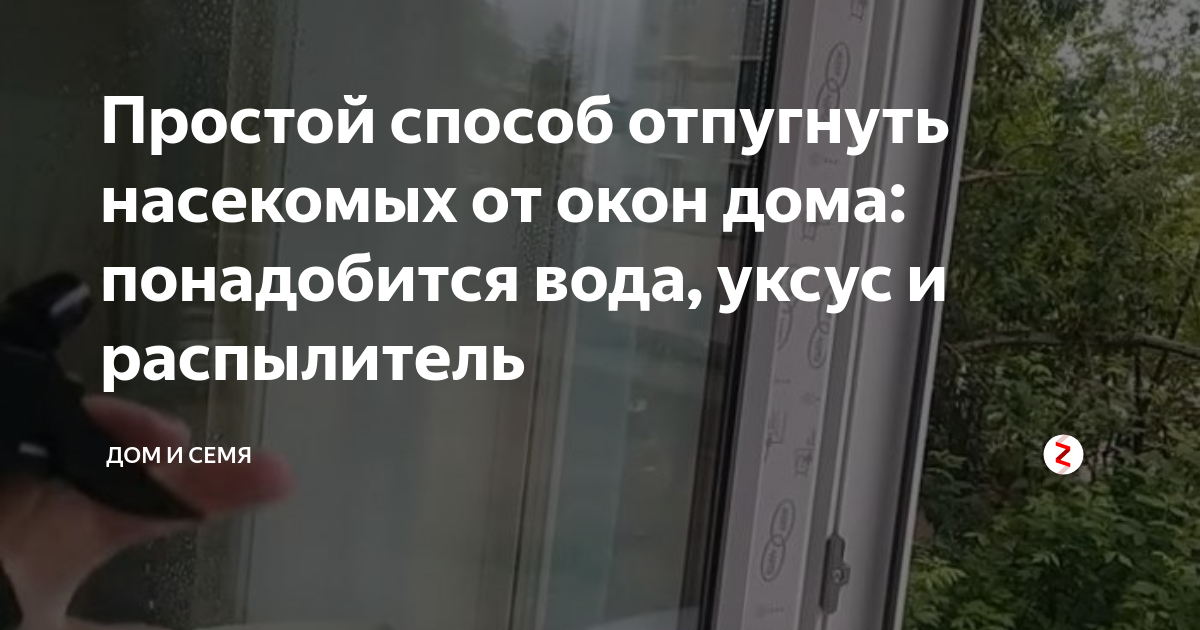 Каракурт от мух можно ли развести в воде и побрызгать стены