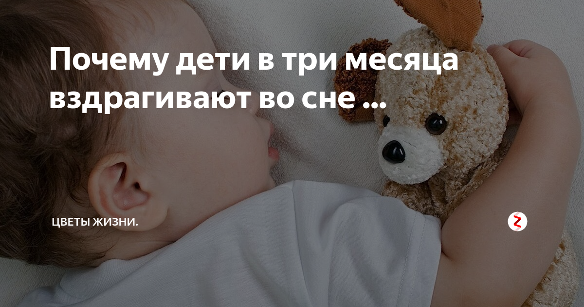 Ребенок 9 месяцев вздрагивает. Ребёнок вздрагивает во сне. Новорожденный вздрагивает во сне. Почему ребенок пугается во сне. Почему новорожденный ребенок вздрагивает во сне