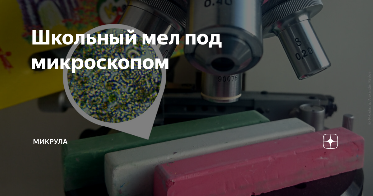 Школьный мел под микроскопом | Микрула | Дзен