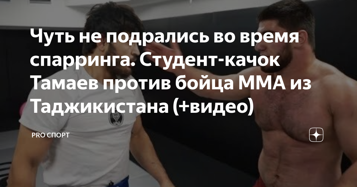 Николай Соболев. Как один накаченный студент стал лидером мнений на Ютубе? | Немцов Blog | Дзен