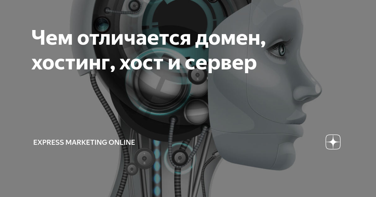 Чем отличается домен, хостинг, хост и сервер | Vikyska04 | Дзен