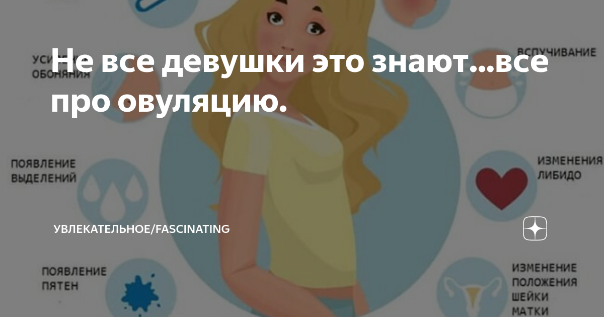 Овуляции - Фотобанк PhotoSreda.ru