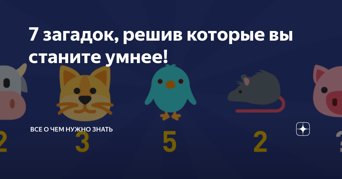 7 загадок, решив которые вы станите умнее! | Все о чем нужно знать | Дзен