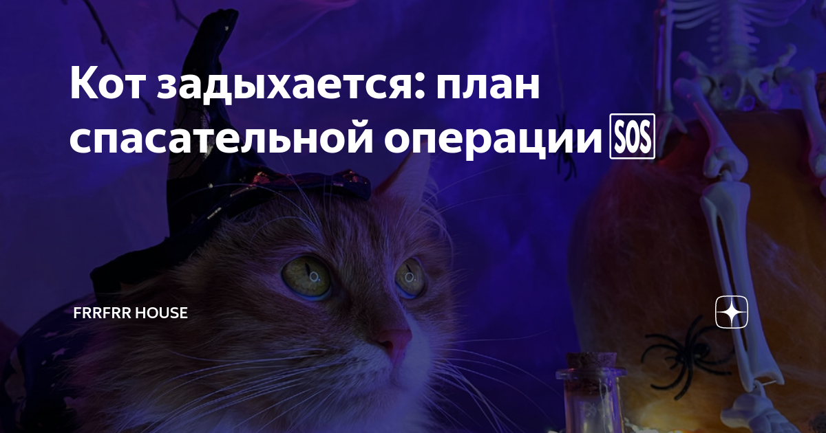 Что делать если кот задыхается. Кот подавился. кот подавился что делать. что делать если кот подавился и задыхается.