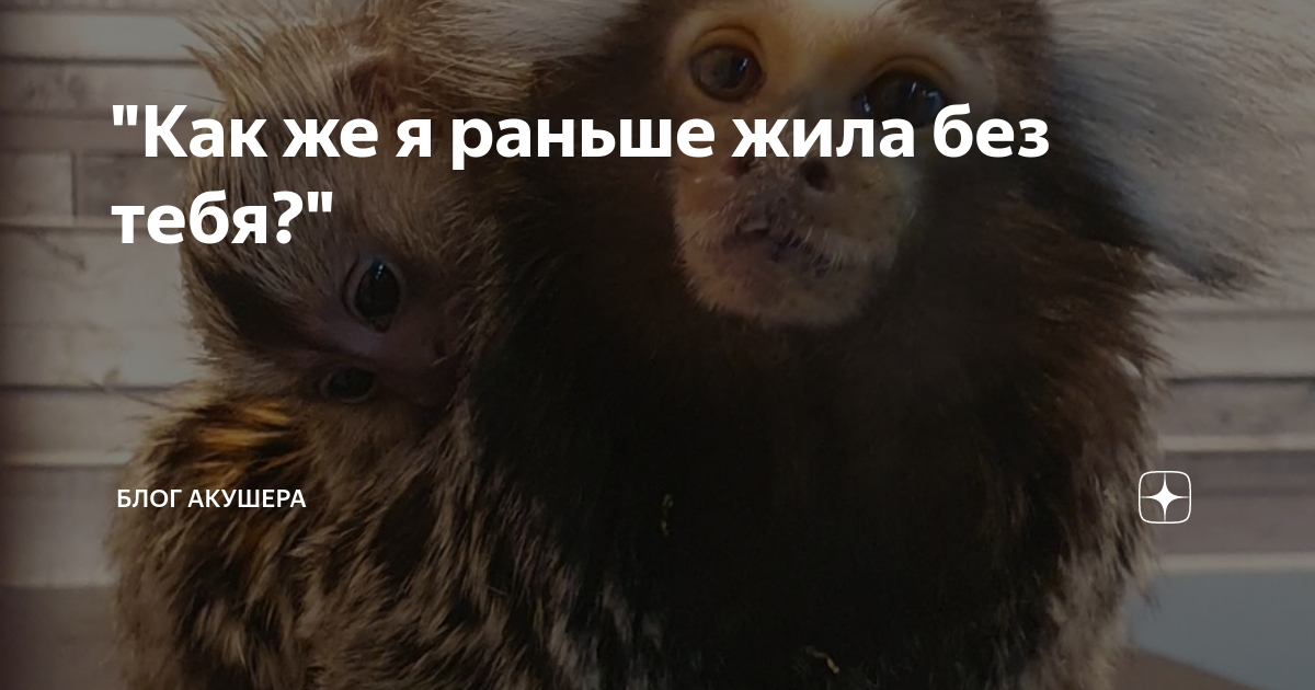 "Как же я раньше жила без тебя?" | Блог акушера | Дзен