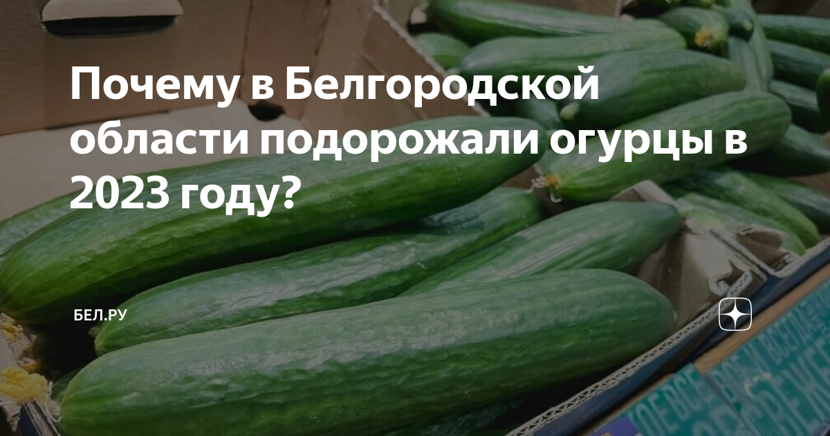 огурцы подорожали 2023. насколько подорожали огурцы. почему подорожали огурцы. магазин да огурцы цена короткие 2023. а овощи овощи тоже будут мясо.