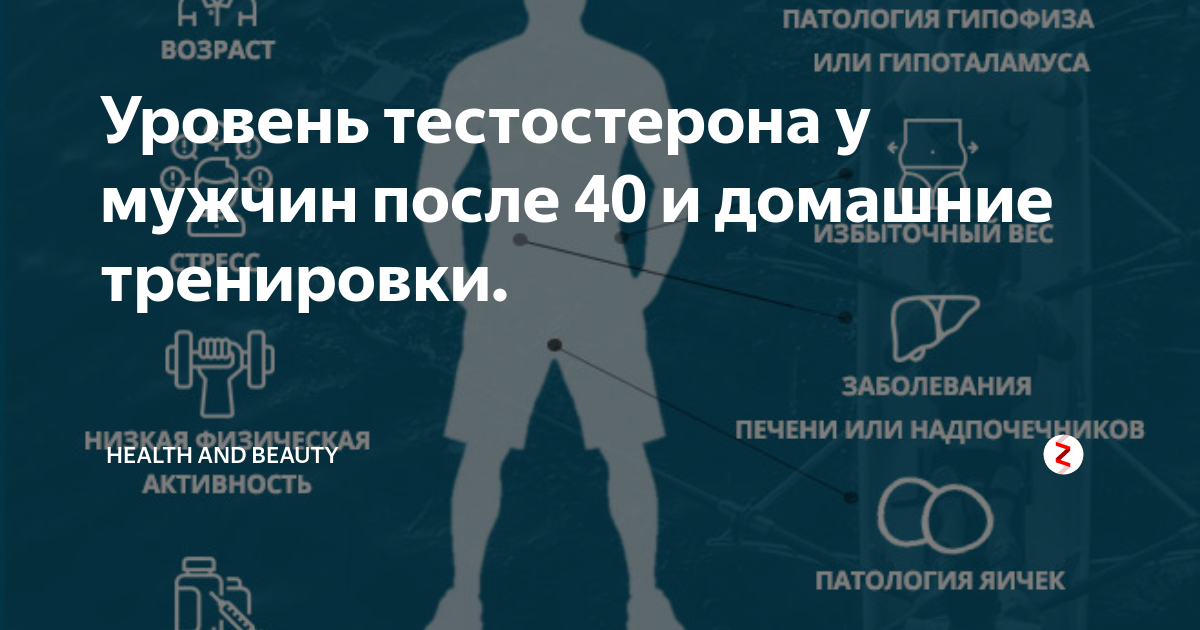 Тестостерон после тренировки. Тренировки и уровень тестостерона. Уровень тестостерона после. Тестостерон после тренировки у мужчин. Силовые упражнения для тестостерона у мужчин.