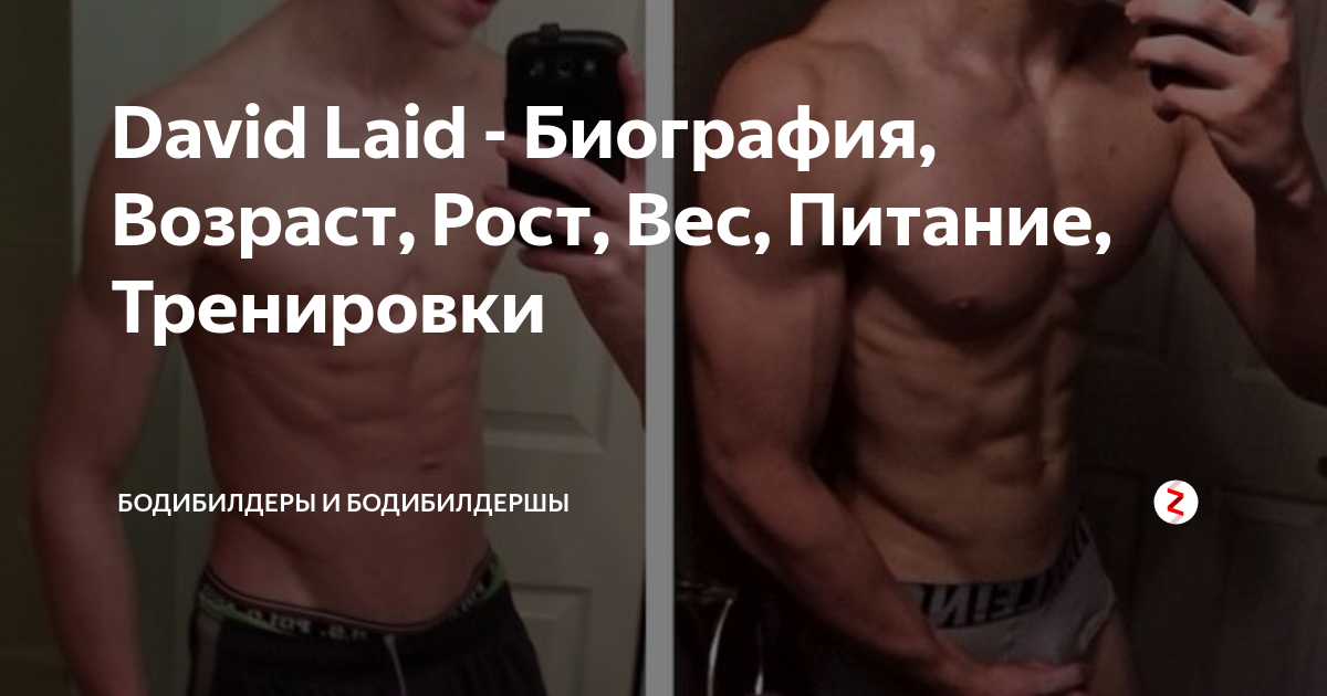 David Laid - Биография, Возраст, Рост, Вес, Питание, Тренировки ...