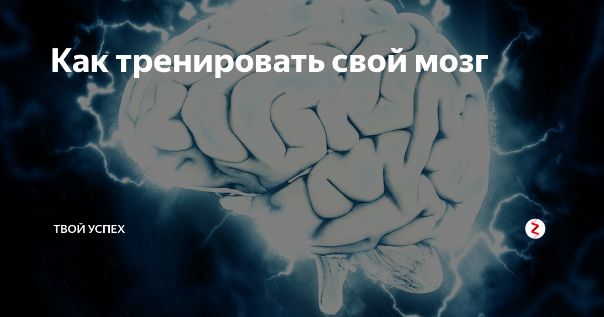 биолог исследователь. лаборант-исследователь. агрессивность опухоли. емкость биотопа. синтетические нервы.