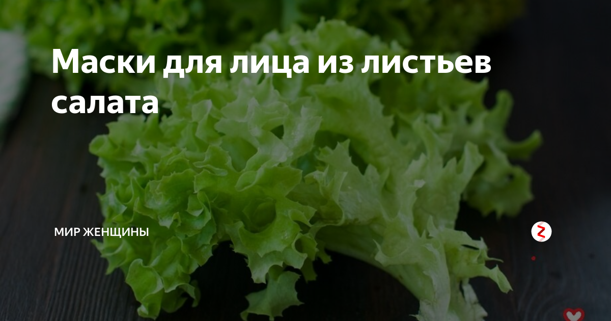 Польза салата листового для организма человека. Чем полезны салатные листья. Салат листовой польза и вред для здоровья. Чем полезен салат листовой для организма. Маска для лица из салата листового.