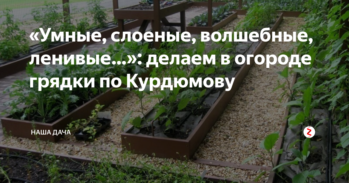 Умный сад и умный огород курдюмова. Огород Курдюмов грядки. Грядки Курдюмова. Курдюмов умные грядки. Курдюмов огород для ленивых.