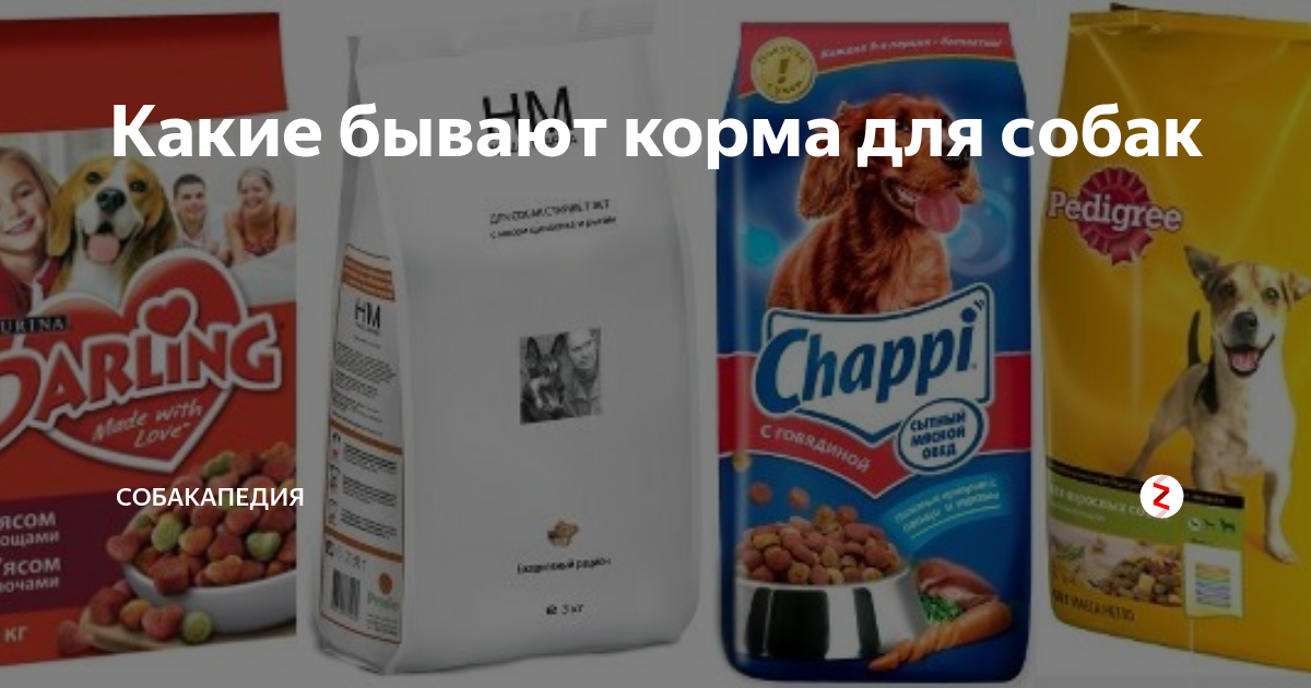 Корма для собак. Классификация сухих кормов для собак. Сухой корм для собак. Какие бывают корма для собак. Корм для собак сухой педигри с говядиной состав.