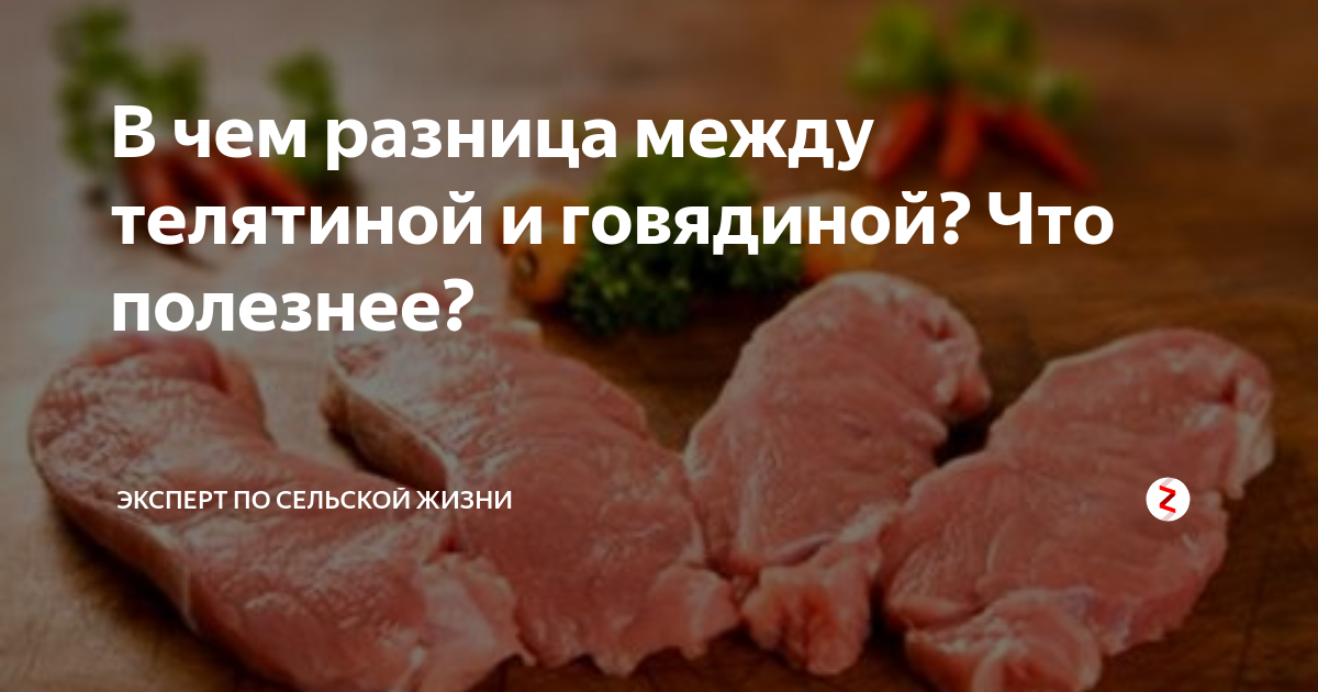 В чем разница между телятиной и говядиной? Что полезнее? | Эксперт по ...