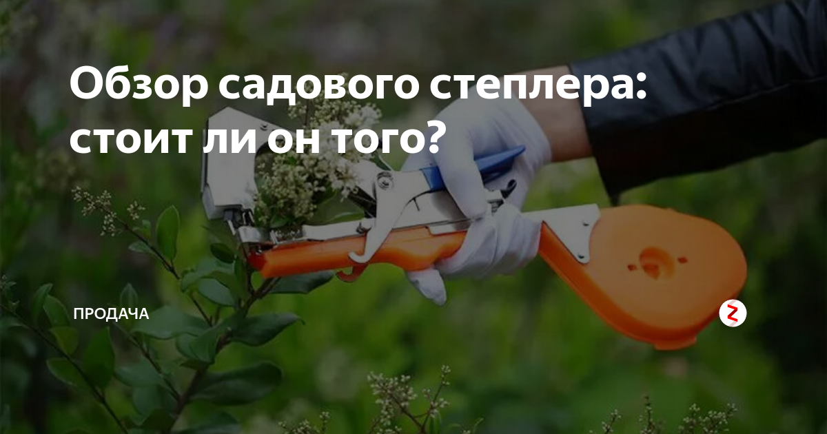 Обзор садового степлера: стоит ли он того? | ПроДача | Дзен