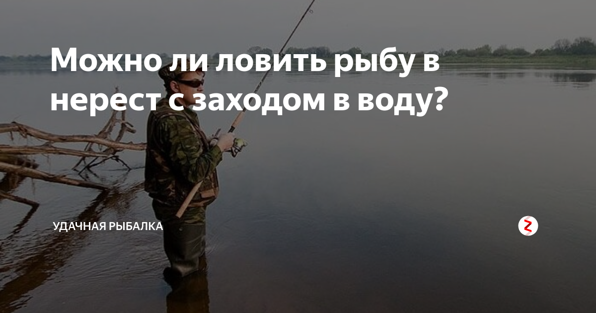 Законно ли ловить