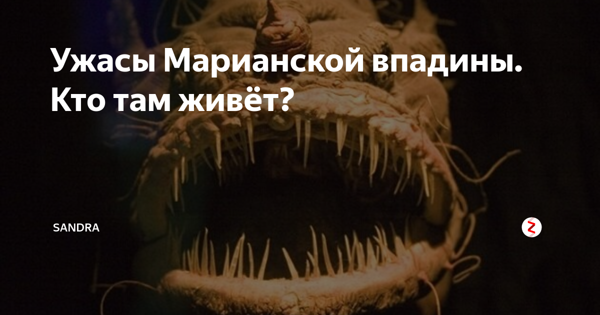 Кто проживает на дне океана картинка