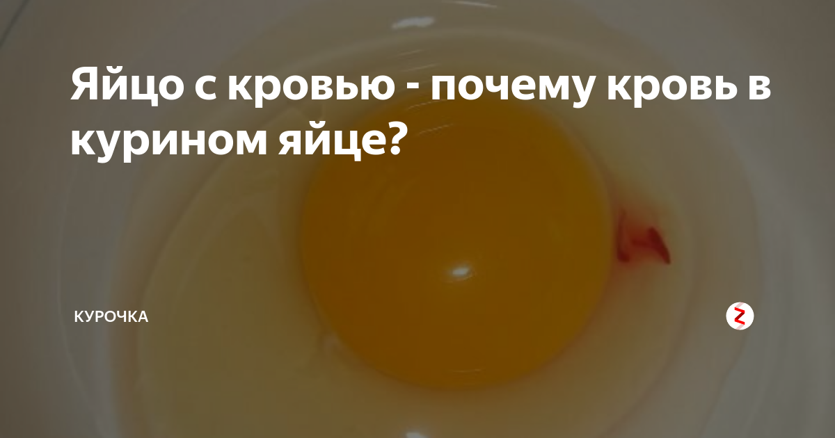 яйцо с кровью можно ли кушать. сгусток крови в курином яйце причина. почему в яйце кровь внутри. кровь в белке куриного яйца. яйцо с кровью можно ли кушать.